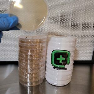 100mm x 15mm Agar Plates - 100ct.